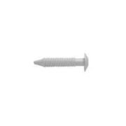One-Piece Unitap Nylon Drive Rivet, 1/4″ x 1″